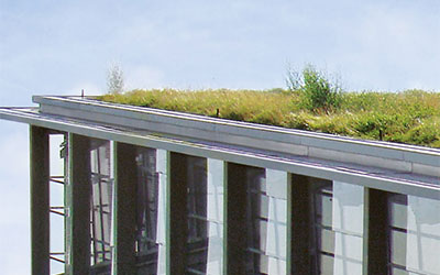 Green roof 